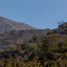  Terreno (Parcela) en venta en Cordillera, Santiago, San Jode de Maipo, Cordillera