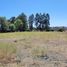  Terreno (Parcela) en venta en Maule, Longavi, Linares, Maule