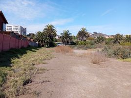  Land for sale in Japonés Jardin del Corazón Park, Coquimbo, Coquimbo