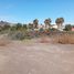  Land for sale in Japonés Jardin del Corazón Park, Coquimbo, Coquimbo