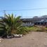  Land for sale in Japonés Jardin del Corazón Park, Coquimbo, Coquimbo