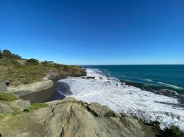  Terreno (Parcela) en venta en Maule, Pelluhue, Cauquenes, Maule