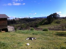  Land for sale in Melipilla Santiago, Melipilla, Melipilla