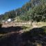  Land for sale in Conocoto, Pichincha, Conocoto