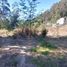  Land for sale in Conocoto, Pichincha, Conocoto