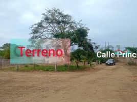  Terreno (Parcela) en venta en Jipijapa, Manabi, Puerto De Cayo, Jipijapa