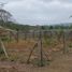  Terrain for sale in Jipijapa, Manabi, Puerto De Cayo, Jipijapa