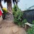 3 Bedroom House for sale in San Jode De Maipo, Cordillera, San Jode De Maipo