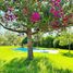  Terreno (Parcela) en venta en Melipilla, Santiago, Curacavi, Melipilla