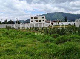  Terreno (Parcela) en venta en Alangasi, Quito, Alangasi