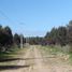  Land for sale in Chile, Bulnes, Diguillin, Nuble, Chile