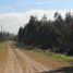  Land for sale in Chile, Bulnes, Diguillin, Nuble, Chile