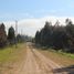  Land for sale in Chile, Bulnes, Diguillin, Nuble, Chile