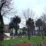 120 SqM Office for rent in Chile, Temuco, Cautin, Araucania, Chile