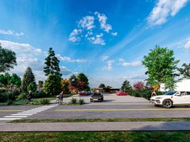  Land for sale in Chile, Ranquil, Itata, Nuble, Chile