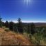  Terreno (Parcela) en venta en Chile, Trehuaco, Itata, Ñuble, Chile
