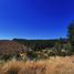  Terreno (Parcela) en venta en Chile, Trehuaco, Itata, Ñuble, Chile