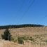  Terreno (Parcela) en venta en Chile, Trehuaco, Itata, Ñuble, Chile