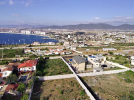  Land for sale in Chile, Coquimbo, Elqui, Coquimbo, Chile