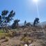  Land for sale in Elqui Coquimbo, Coquimbo