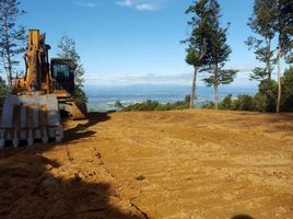  Land for sale in Los Rios, Mariquina, Valdivia, Los Rios