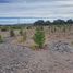  Land for sale in Copiapo, Atacama, Copiapo, Copiapo, Atacama
