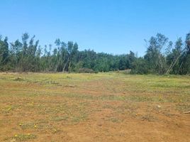  Terreno (Parcela) en venta en Chile, Chillan, Diguillín, Ñuble, Chile