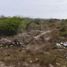  Land for sale in Tecuala, Nayarit, Tecuala