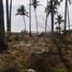  Land for sale in Tecuala, Nayarit, Tecuala