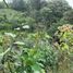  Land for sale in Chignautla, Puebla, Chignautla