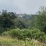  Land for sale in Chignautla, Puebla, Chignautla