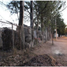  Land for sale in Zapopan, Jalisco, Zapopan, Jalisco
