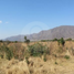2 Habitación Quinta en venta en Zacoalco De Torres, Jalisco, Zacoalco De Torres, Jalisco