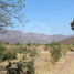 2 Schlafzimmer Quinta zu verkaufen in Zacoalco De Torres, Jalisco, Zacoalco De Torres