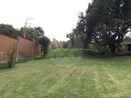 5 Habitación Quinta en venta en México, Villa Guerrero, México