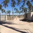  Land for sale in Tecuala, Nayarit, Tecuala