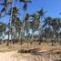  Land for sale in Tecuala, Nayarit, Tecuala