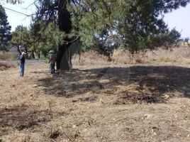  Terrain for sale in Oaxaca, Dist Yautepec, Oaxaca