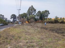  Grundstück zu verkaufen in Dist Yautepec, Oaxaca, Dist Yautepec, Oaxaca