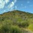 Terrain à vendre à Ixtlahuacan De Los Membrillos, Jalisco, Ixtlahuacan De Los Membrillos