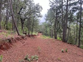  Land for sale in Mazamitla, Jalisco, Mazamitla