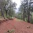  Land for sale in Mazamitla, Jalisco, Mazamitla