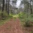  Land for sale in Mazamitla, Jalisco, Mazamitla