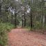  Land for sale in Mazamitla, Jalisco, Mazamitla