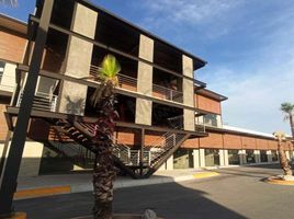 Studio House for rent in Juarez, Chihuahua, Juarez