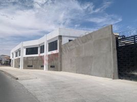 500 SqM Office for rent in Juarez, Chihuahua, Juarez