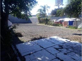  Land for sale in Monterrey Nuevo Leon, Monterrey