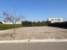  Terrain for sale in Lujan De Cuyo, Mendoza, Lujan De Cuyo