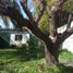 3 Bedroom House for rent in Pilar, Buenos Aires, Pilar