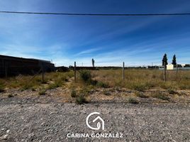  Grundstück zu verkaufen in Confluencia, Neuquen, Confluencia